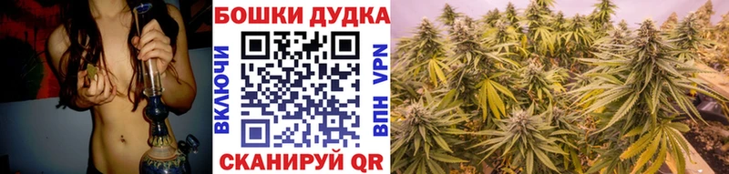 Бошки Шишки THC 21%  купить  сайты  Морозовск 